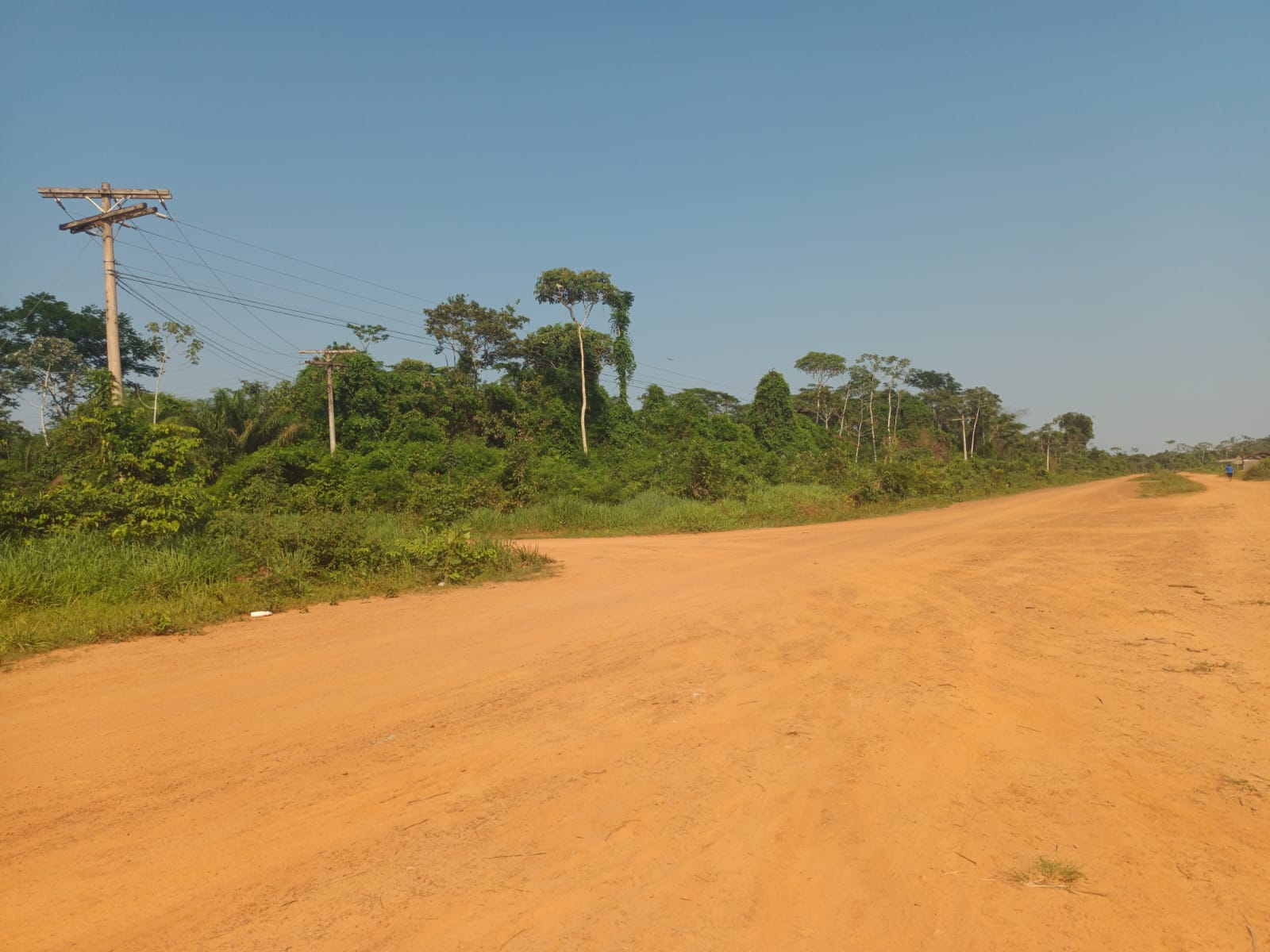 PHOTO-2022-11-08-08-51-59